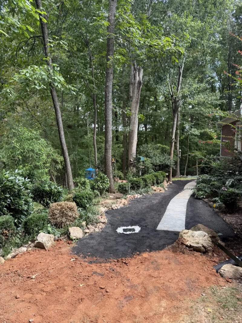 Graded gravel driveway through woods