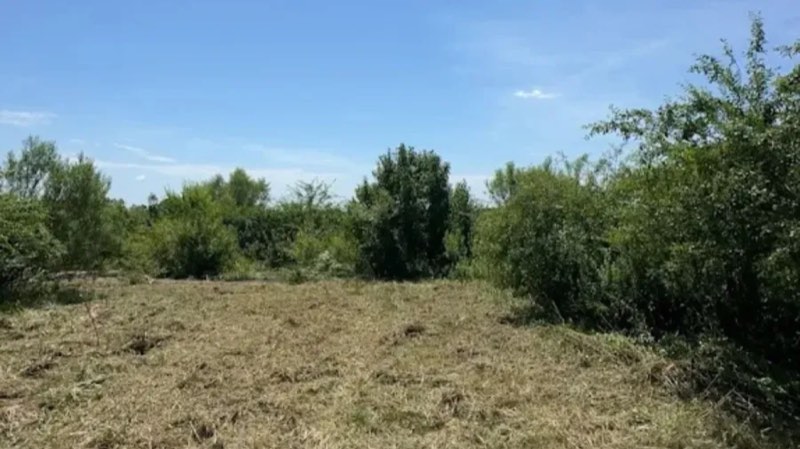 Land Clearing